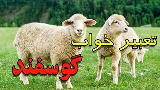 تعبیر خواب گوسفند | دیدن گوسفند در خواب ازنظر امام صادق و ابن سیرین #تعبیر_خواب