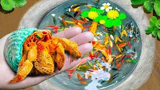 Catch Fancy Ornamental Fish in Tiny Pond, Hermit Crab, Panda Guppy, Goldfish, Aquarium fish, Koi