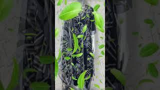 Cotton Kurtis | Heavy 3pis Pairs | Codeset | Tunics | Hevy Gowns | T-shirt | Call: 9512415599
