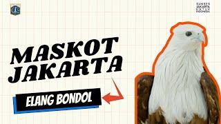 Maskot Jakarta Elang Bondol