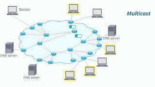 Computer Networks  und DNS Server