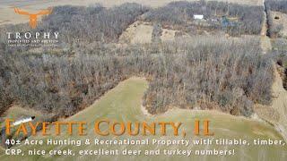 Fayette County, IL 40 Acres Hunting & Recreational Property For Sale. Trophy Properties and Auction