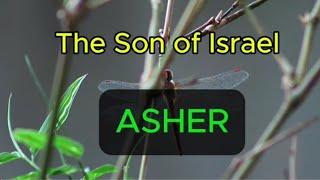 The Story of The 12 Tribes ASHER