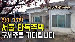 서울 초역세권 은평구 땅이 77평 단독주택, 빈집이지만 활용가치는 무한대