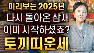 ⭐미리보는 2025년 을사년 삼재 토끼띠운세⭐2025년 시작하셨죠? 토끼띠에게 생길 큰 변화들 토끼띠 63년생 75년생 87년생 99년생 토끼띠운세 삼재띠 이것만 알고 예방하세요