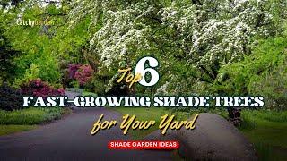 Top 6 Fast Growing Shade Trees for Your Yard  // Shade Garden Ideas