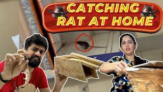 CATCHING 6 RATAT HOME | RAT ATROCITIES | FULL RUNNING & CHASING VLOG #vivekjadoo #deepikavivek