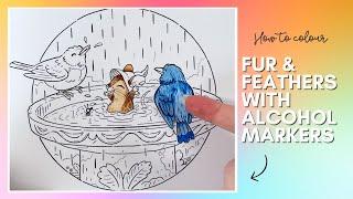  How to Colour Fur & Feathers with Alcohol Markers | Easy Beginner Tutorial