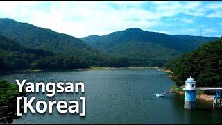 Korean Countryside Yangsan | Healing meditation | 양산 법기수원지