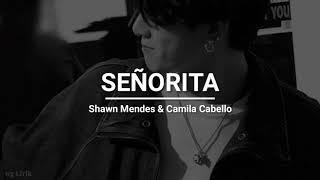 Shawn Mendes, Camila Cabello - Señorita (lyrics)