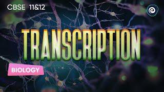 Transcription | Biology | CBSE Class 12 | Embibe: Achieve Class 11&12