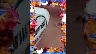 تلميع وتنظيف الجلد الطبيعي المدورNASA168 | Crazy BLACKHEADS REMOVAL #blackheads #shorts #shortvideo