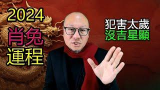 肖兔 | 2024生肖運程