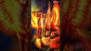 #music #anime #remix #fuchs #wolf 🫶
