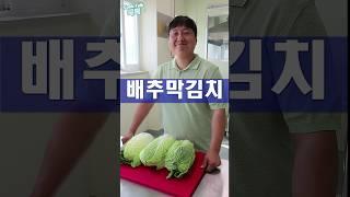 막김치 / 배추겉절이 / 배추김치 / 맛김치 #막김치 #배추김치 #레시피