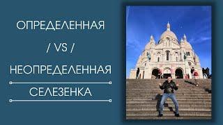 Селезёночный центр. Взаимодействие определённой и неопределённой.  Дизайн человека