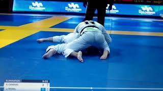 John Rickel vs. Adriano Candido --2018 World IBJJF Jiu-Jitsu Championship