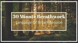 Guided Breathwork | 30 Minute Session