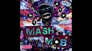 Mashup Germany   Mash Mob PROMO MIX 2011