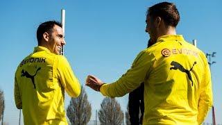 Witsel, Alcácer and Götze are back on the pitch | Borussia Dortmund Training