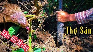 Cần Đước - NGÀY VỀ| Mười Thương Săn Bắt