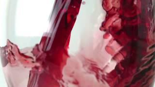 Wine “legs” and minibot motors - Headline Science