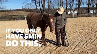 One of the most important lessons your horse will ever have