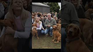 Jeremy and Lisa organise a Dog Meetup  #jeremyclarkson #clarksonsfarm #farming #british #dog #uk