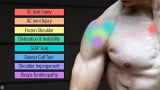 Why Your Shoulder Hurts (And What To Do About It!)