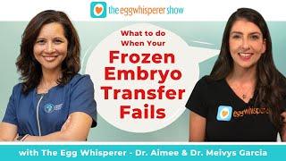 What to do When Your Frozen Embryo Transfer Fails with Dr. Meivys Garcia