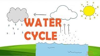 Water Cycle facts for kids - Information about water cycle - Precipitation - Simply E-learn Kids