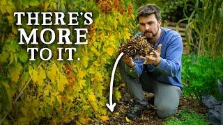 Why Gardeners Need to Take Woodchip More Seriously