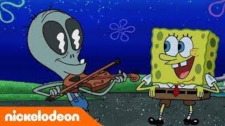 Spongebob EPISODIO COMPLETO | Spongebob contadino | Nickelodeon Italia