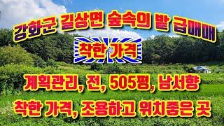 강화군 길상면 ,  계획관리, 전, 505평 급급매, 남서향, 산과 숲으로 둘러싸인 전망 좋은 토지  착한 가격, 전원주택지, 캠핑장, 수양관 등 다양하게 활용 가능함