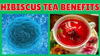 Hibiscus Tea: The Ultimate Natural Remedy for 15 Common Ailments