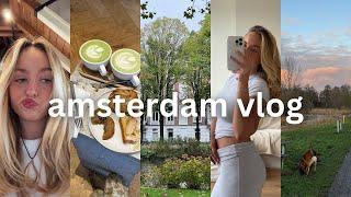 amsterdam vlog | busy days as a co-founder, january blues, acne updates, applying for my masters