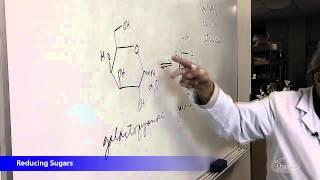 Reducing Sugars with Dr. Mark Niemczyk, Professor of Organic Chemistry