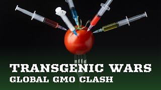 Transgenic Wars | The Hidden Costs of GMOs on Health and Agriculture