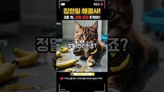 집안일 해결사! 5가지 생활 꿀팁 대공개 #생활팁 #신박한정보 #꿀팁연구소 #DailyHacks #PracticalTips #LifeHackLab