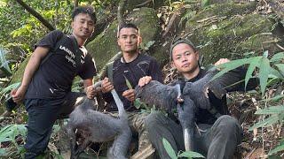 Hunting in Deep Jungle and favorite place