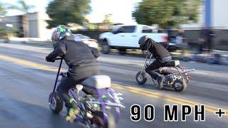 BIGGEST COMPTON MINI BIKE STANDARD BORE TOURNAMENT PT.1