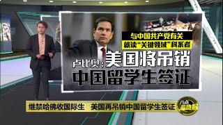 继禁哈佛招收国际生   美国再吊销中国留学生签证  | 八点最热报 29/05/2025
