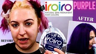 IROIRO PURPLE HAIR DYE | Kirby Rose