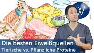 Die besten Eiweißquellen für Muskelaufbau & Immunsystem: Pflanzliche vs. tierische Proteinquellen