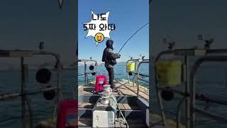#카고감성돔58대물 #낚시 #fishing #대물 #선상낚시 #감성돔 #돔 #카고 #바다 #마산 #창원 #진해 #호야호 #호야피싱