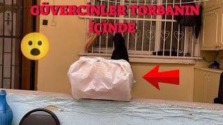 Yeni Güvercinler Aldım ( Torbanın İçinde )