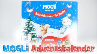 Schleich und Leckereien  | MOGLi wachse wild Adventskalender 2024 (Demeter, Schleich) | UNBOXING