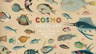 Cosmo Sheldrake - Linger Longer