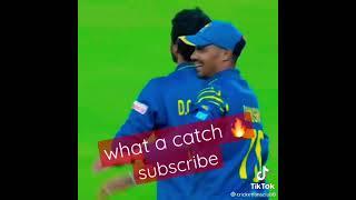 Best catch ever | Dhanushka gunathilaka