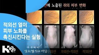 [생로병사의 비밀] - 적외선 열이 피부 노화를 촉진시킨다는 실험